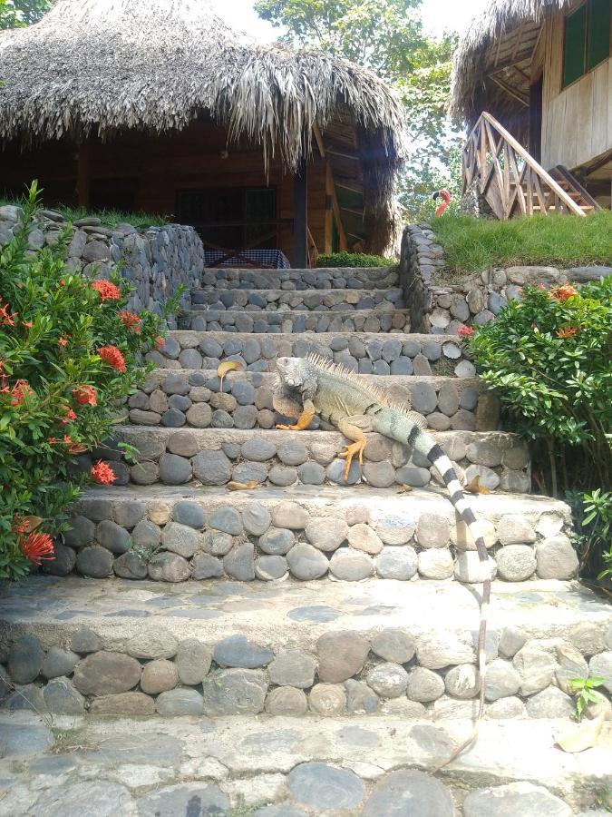Ecocabanas Diosa Jaguar Tayrona La Esmeralda  Exterior foto