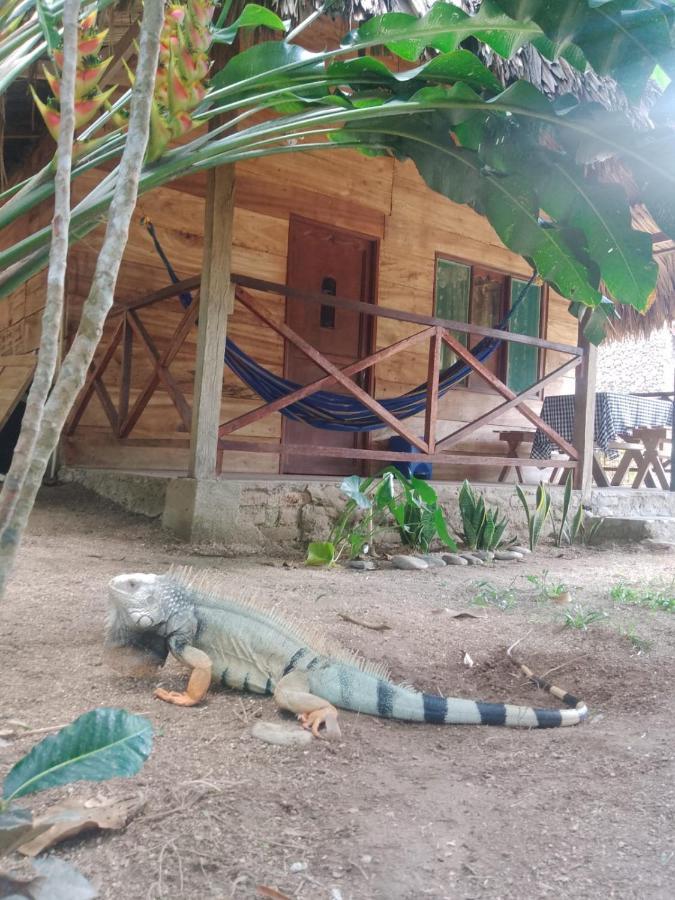 Ecocabanas Diosa Jaguar Tayrona La Esmeralda  Exterior foto