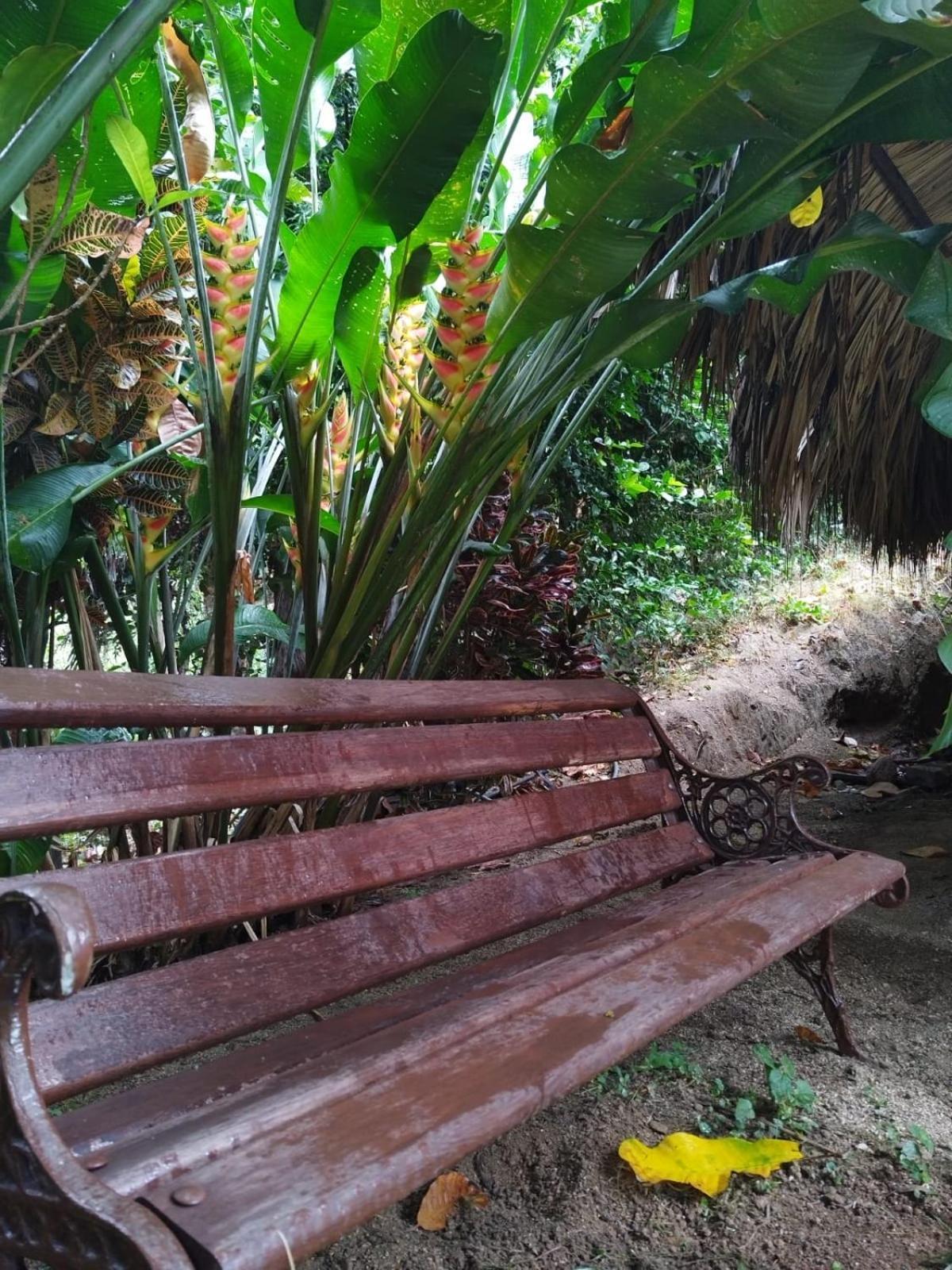 Ecocabanas Diosa Jaguar Tayrona La Esmeralda  Habitación foto