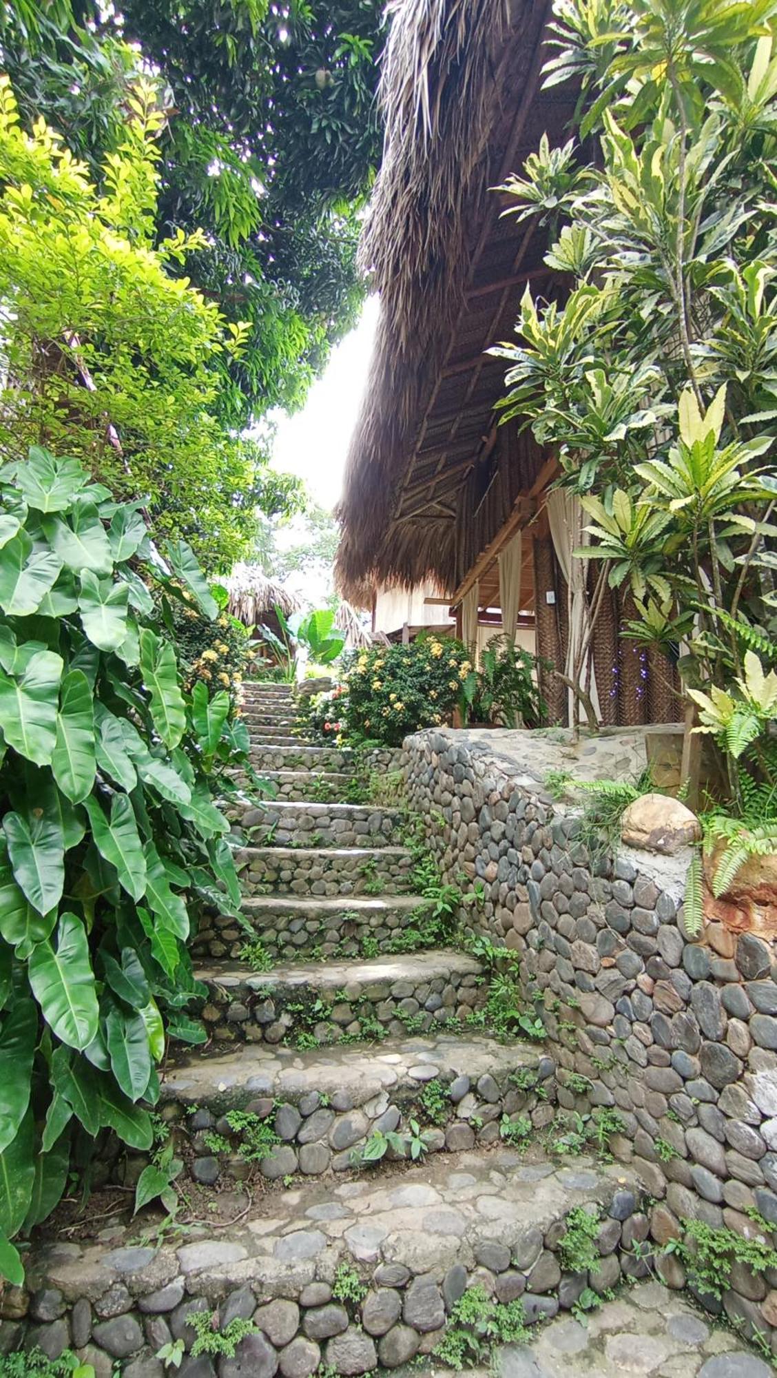 Ecocabanas Diosa Jaguar Tayrona La Esmeralda  Exterior foto