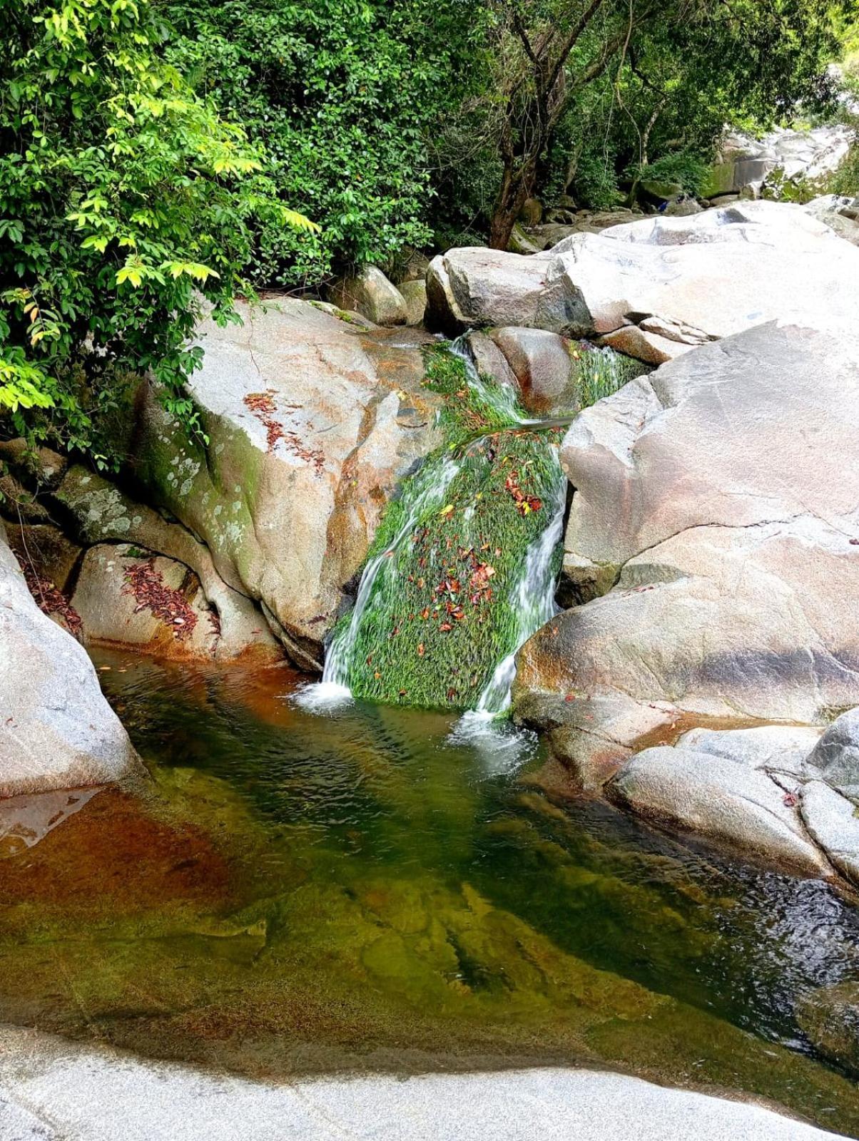 Ecocabanas Diosa Jaguar Tayrona La Esmeralda  Exterior foto